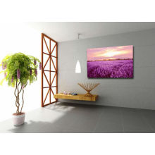 Promotional Lavender Images Printing on Canvas,Flower Canvas Painting,Sunset Scenery Canvas Art
